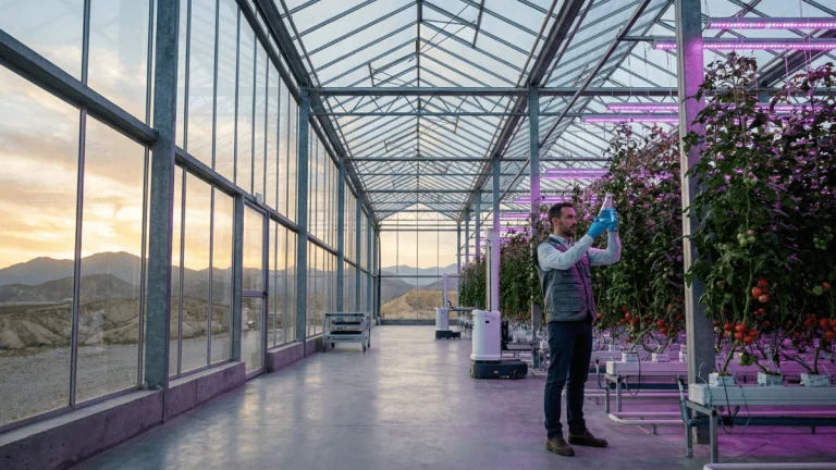 Agrónomo analizando una muestra de nutrientes hidropónicos caseros en un invernadero de alta tecnología en España bajo luces LED de cultivo.