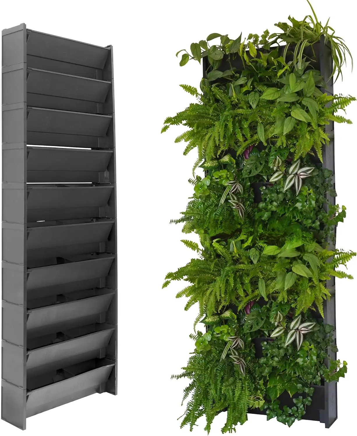 EVERTIA jardín vertical macetas modulares autorriego 60x200cm huerto urbano vertical interior exterior