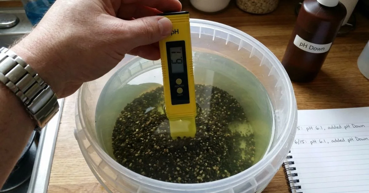 Medición de pH en hidroponía casera: el paso más crítico del mantenimiento diario medidor digital de pH para hidroponía casera mostrando lectura de 5.8 en solución nutritiva