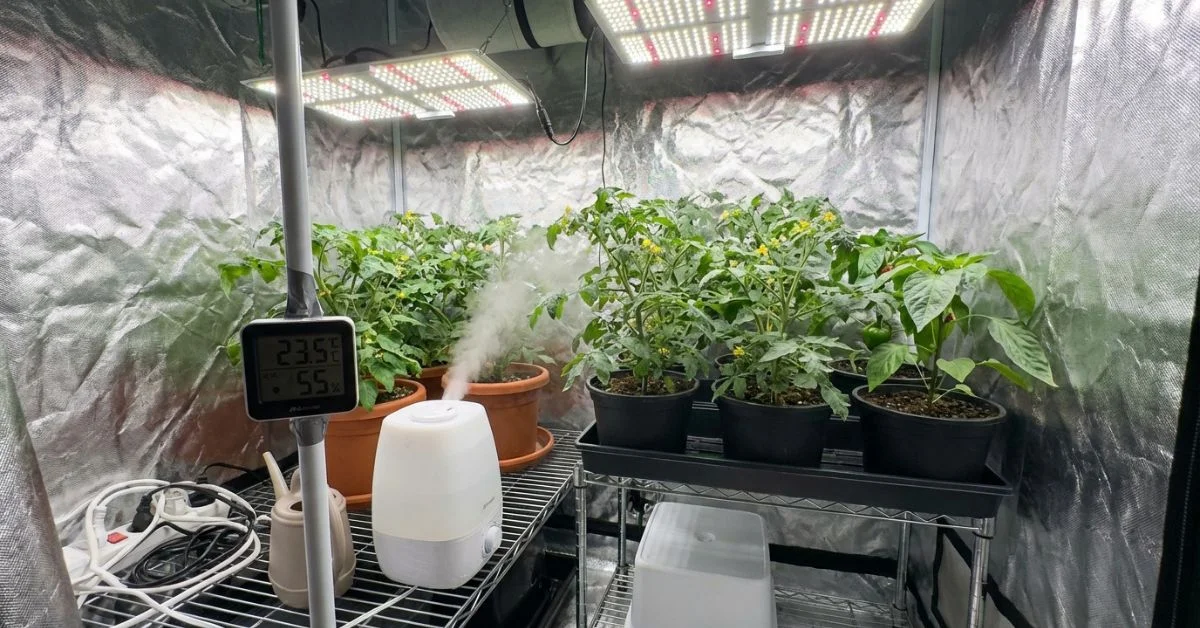 Armario de cultivo indoor con plantas sanas y un humidificador manteniendo el déficit de presión de vapor (DPV) en el rango perfecto.