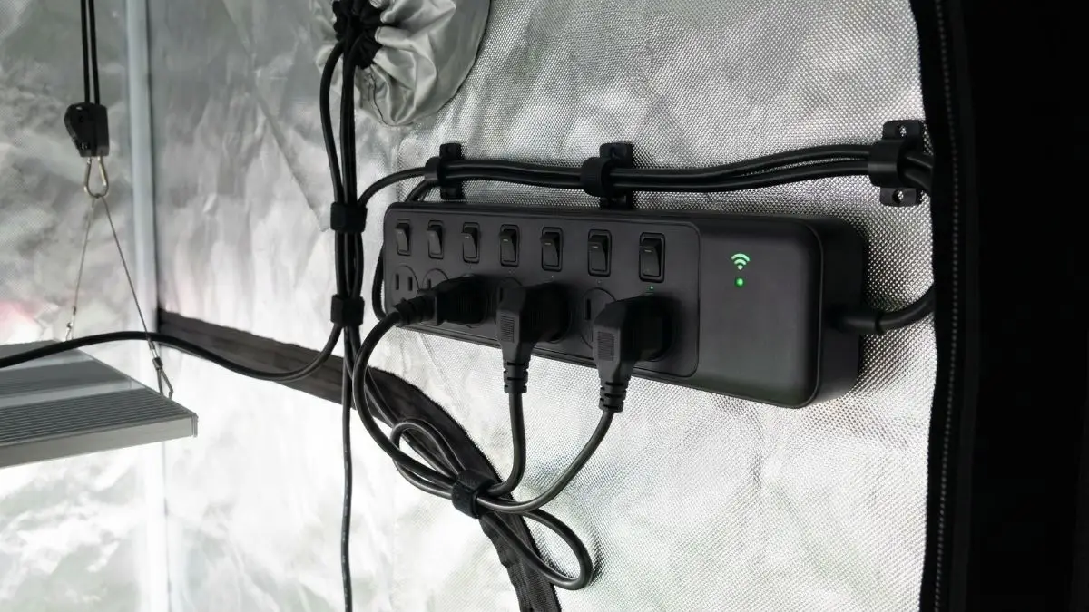 Regleta inteligente WiFi para automatizar cultivo indoor — enchufes independientes para LED, bomba de agua y extractor