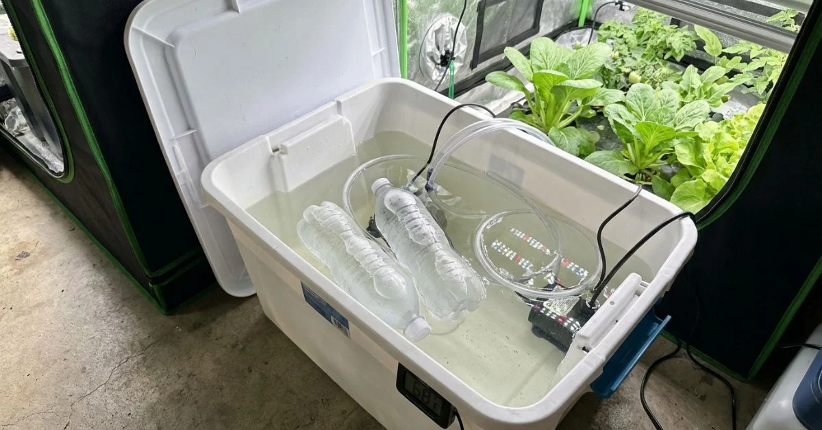 Métodos caseros para enfriar el agua en hidroponía en verano incluyendo botellas congeladas y chiller profesional