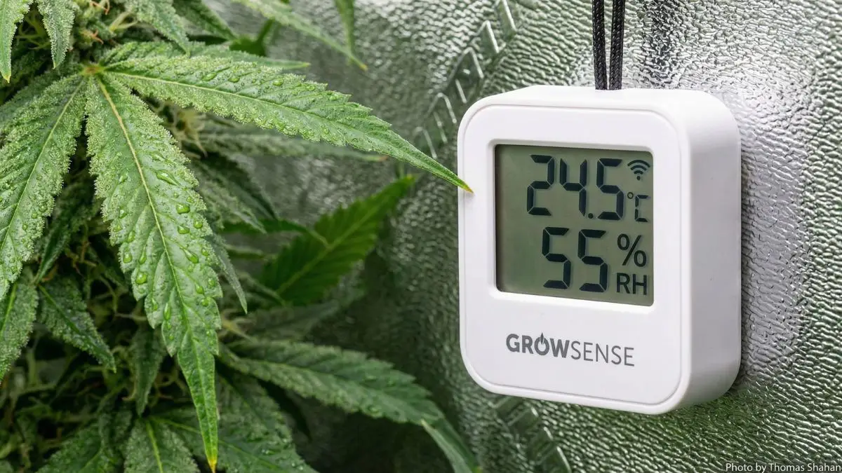 Sensor WiFi temperatura humedad domótica hidroponía armario cultivo indoor monitorización 24/7 historial