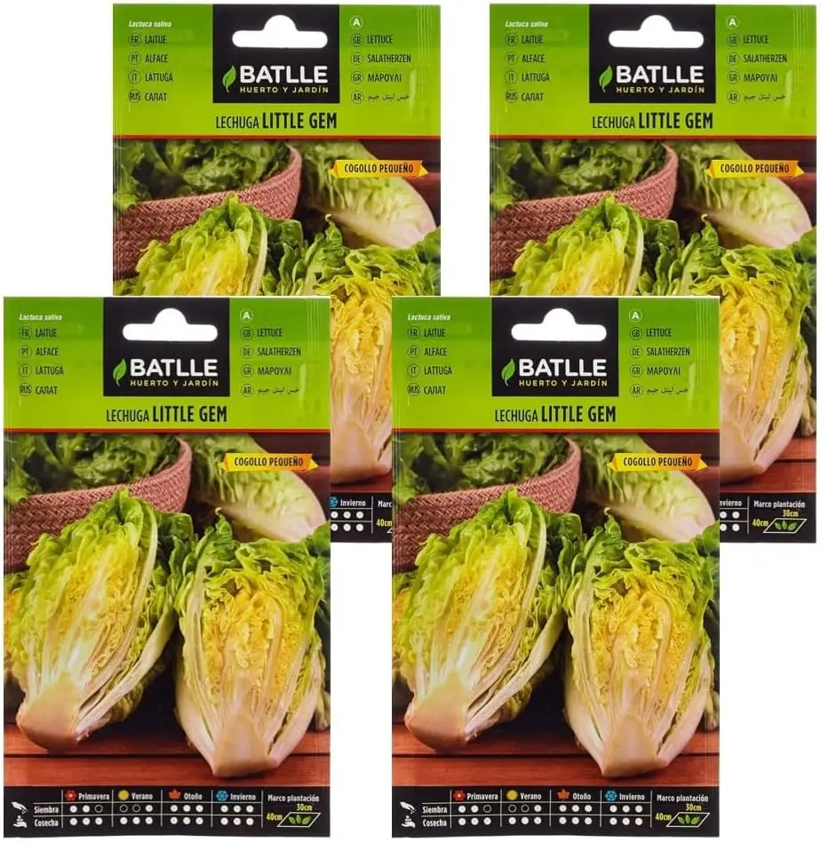 Pack 4 semillas lechuga little gem cogollo Semillas Batlle hidroponía germinación