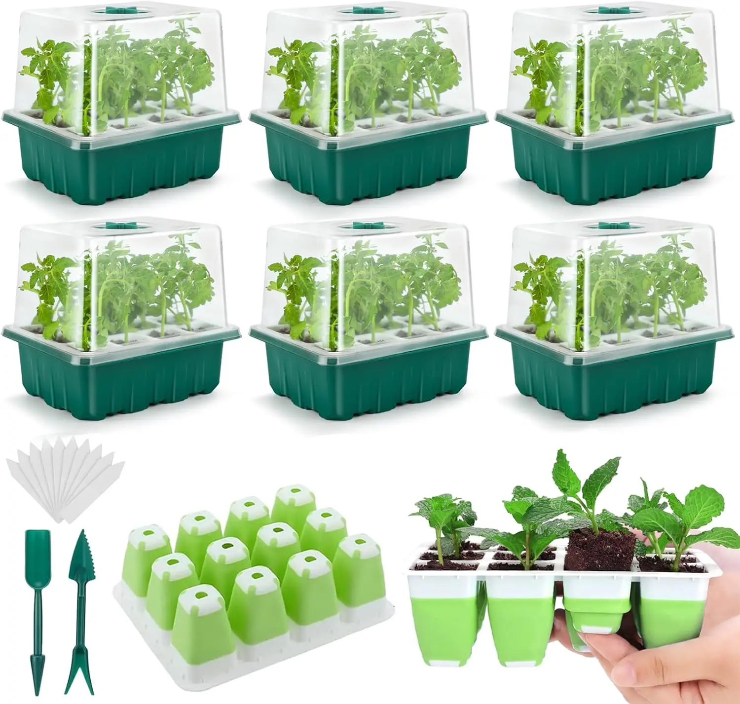 Ryscam bandejas germinación plantas semillero hidropónico estándar económicas