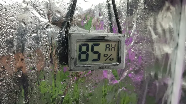Higrómetro digital marcando un nivel de humedad peligrosamente alto dentro de un armario de cultivo indoor