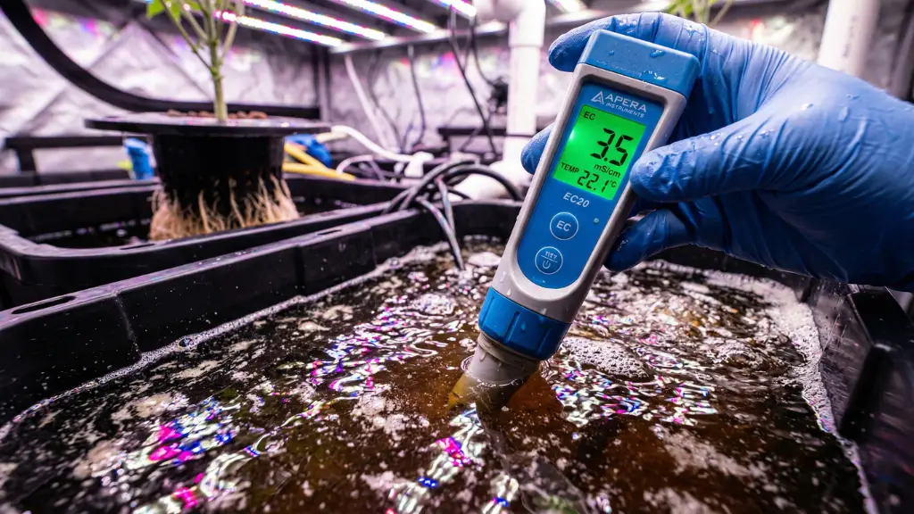 Medidor digital de EC marcando sobrefertilización y conductividad tóxica en el agua de un sistema hidropónico