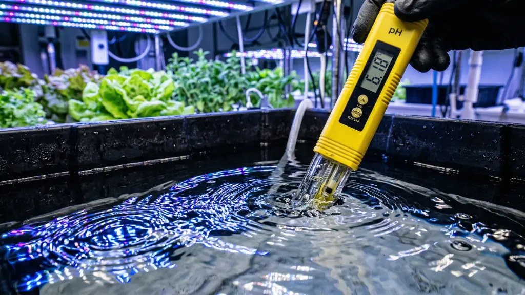 Medidor digital comprobando el nivel de pH en el agua de un depósito hidropónico