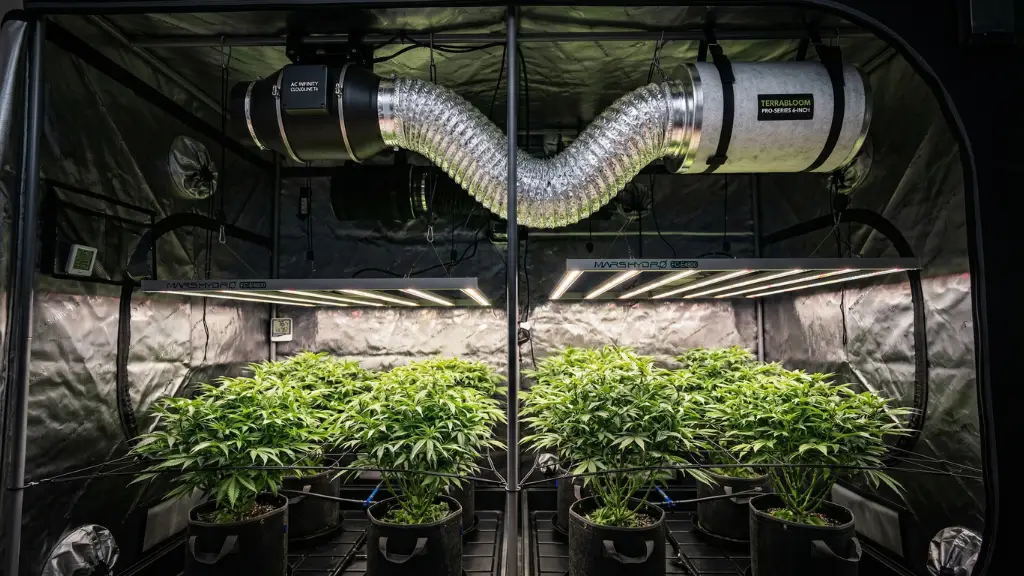 Sistema completo de ventilación para cultivo indoor con extractor en línea, tubo de aluminio y filtro de carbón activo en la parte superior.