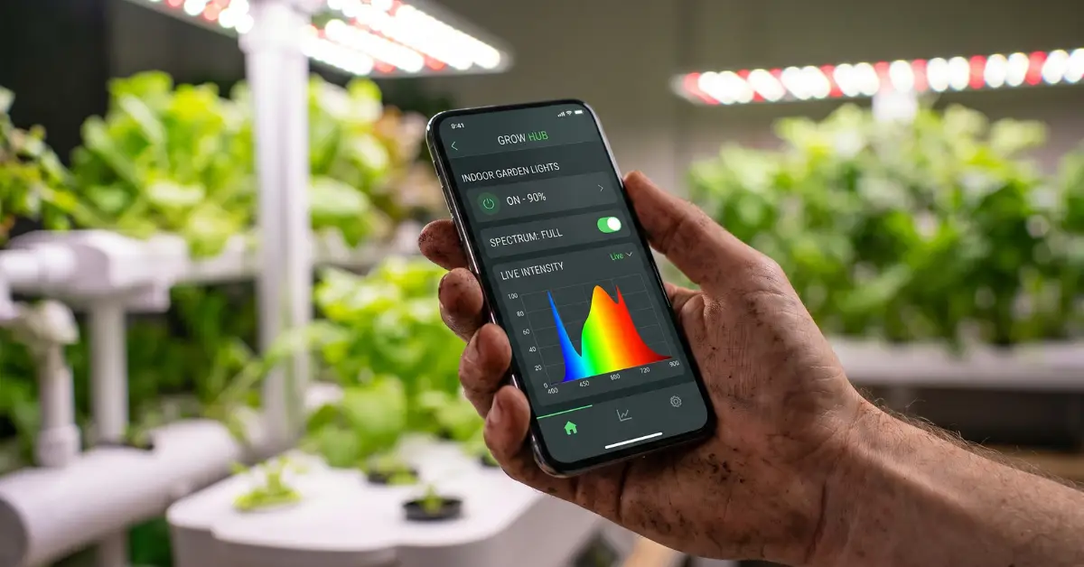Cultivador controlando la intensidad de las luces LED mediante una aplicación de domótica en el móvil